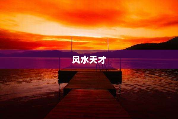 风水天才