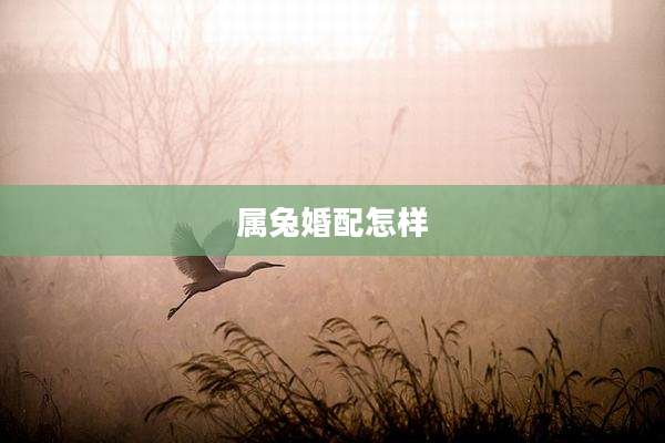 属兔婚配怎样
