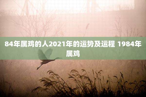 84年属鸡的人2021年的运势及运程 1984年属鸡