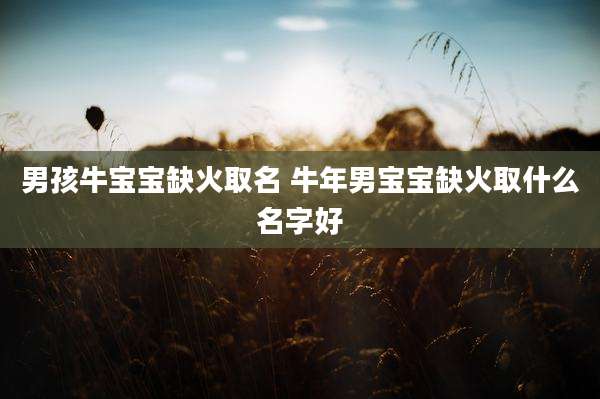 男孩牛宝宝缺火取名 牛年男宝宝缺火取什么名字好