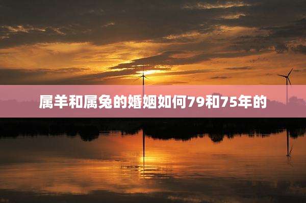 属羊和属兔的婚姻如何79和75年的