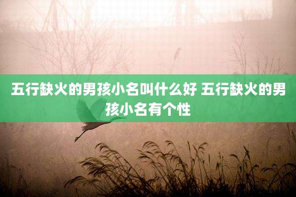 五行缺火的男孩小名叫什么好 五行缺火的男孩小名有个性