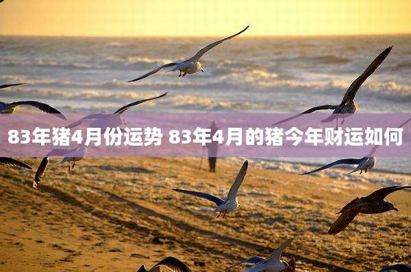 83年猪4月份运势 83年4月的猪今年财运如何