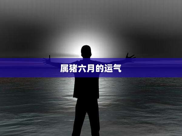 属猪六月的运气