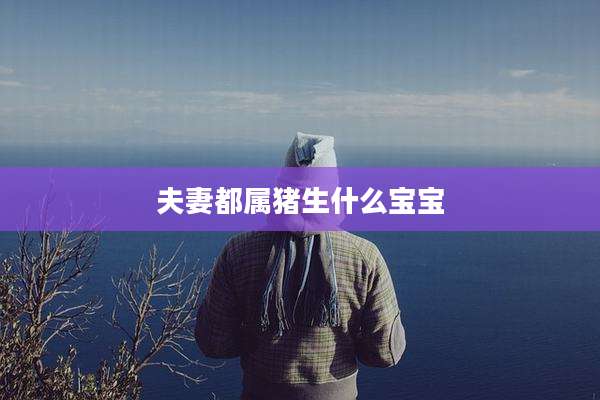 夫妻都属猪生什么宝宝