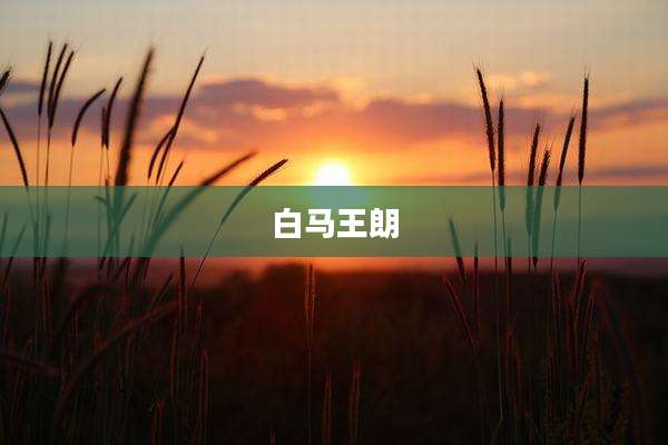 白马王朗