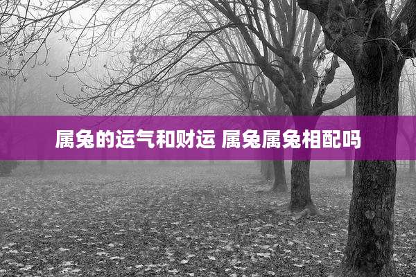 属兔的运气和财运 属兔属兔相配吗