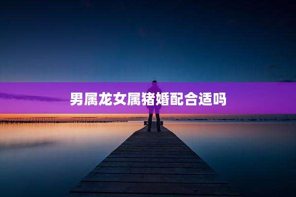 男属龙女属猪婚配合适吗