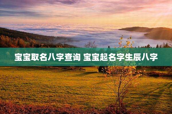 宝宝取名八字查询 宝宝起名字生辰八字