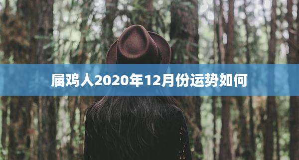 属鸡人2020年12月份运势如何