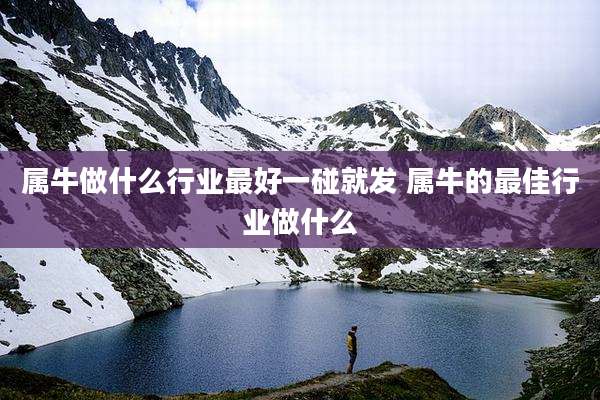 属牛做什么行业最好一碰就发 属牛的最佳行业做什么