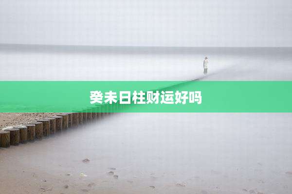 癸未日柱财运好吗