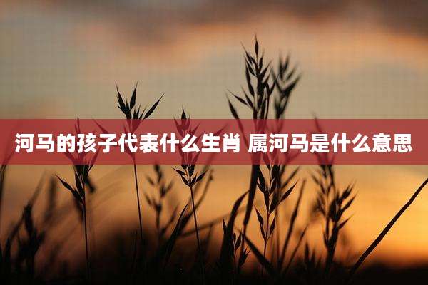 河马的孩子代表什么生肖 属河马是什么意思