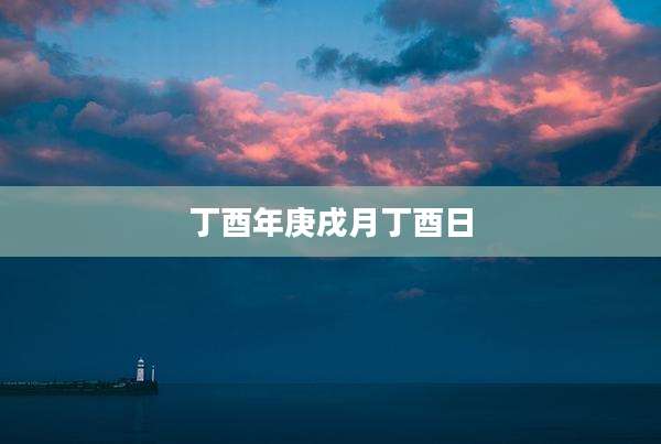 丁酉年庚戌月丁酉日