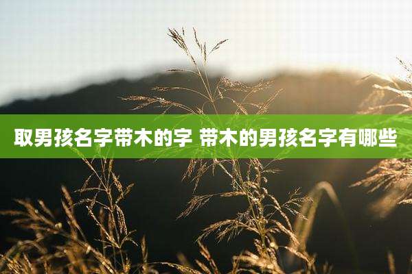 取男孩名字带木的字 带木的男孩名字有哪些