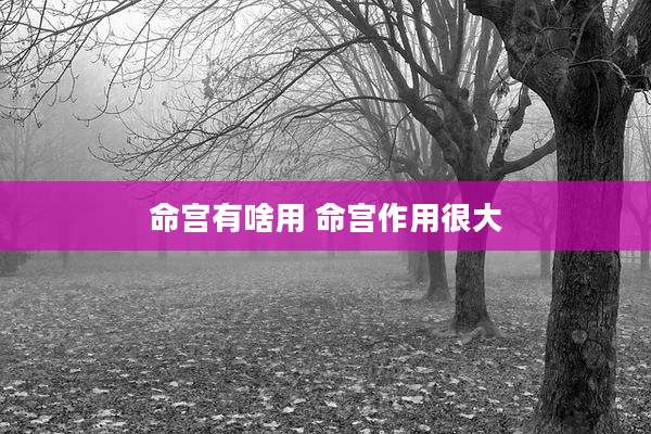 命宫有啥用 命宫作用很大