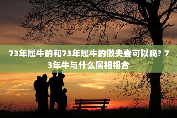 73年属牛的和73年属牛的做夫妻可以吗? 73年牛与什么属相相合