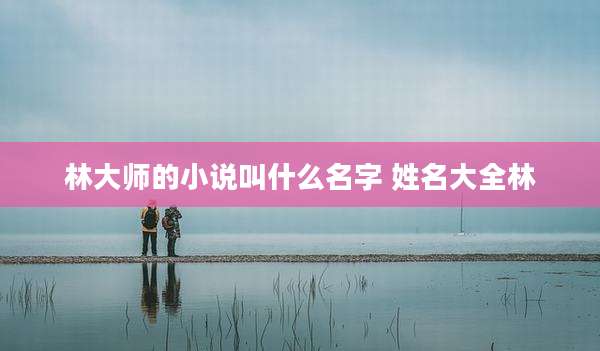 林大师的小说叫什么名字 姓名大全林