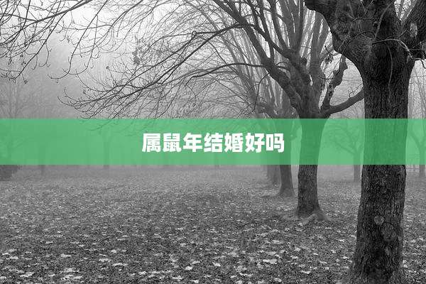 属鼠年结婚好吗