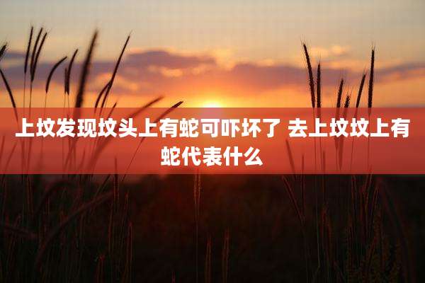 上坟发现坟头上有蛇可吓坏了 去上坟坟上有蛇代表什么