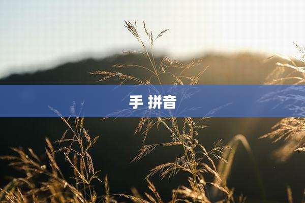 手 拼音