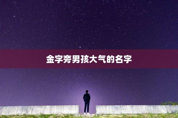 金字旁男孩大气的名字