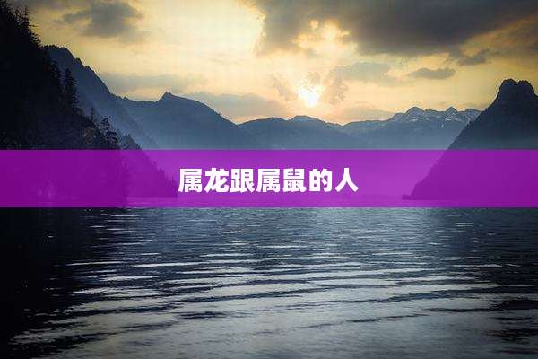 属龙跟属鼠的人