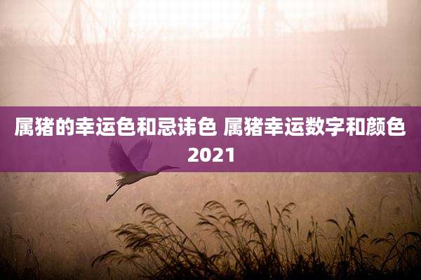 属猪的幸运色和忌讳色 属猪幸运数字和颜色2021
