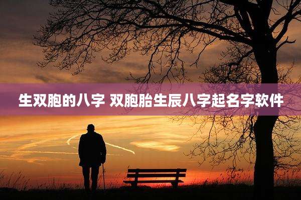 生双胞的八字 双胞胎生辰八字起名字软件