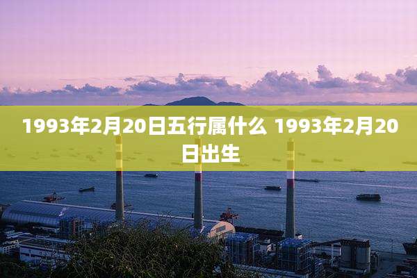 1993年2月20日五行属什么 1993年2月20日出生