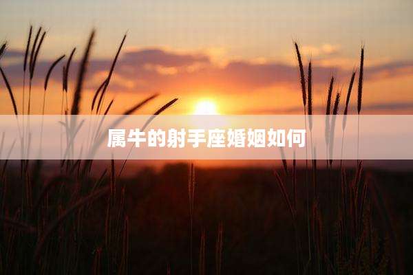 属牛的射手座婚姻如何
