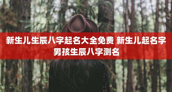 新生儿生辰八字起名大全免费 新生儿起名字男孩生辰八字测名