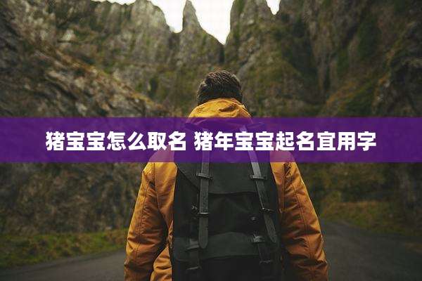 猪宝宝怎么取名 猪年宝宝起名宜用字
