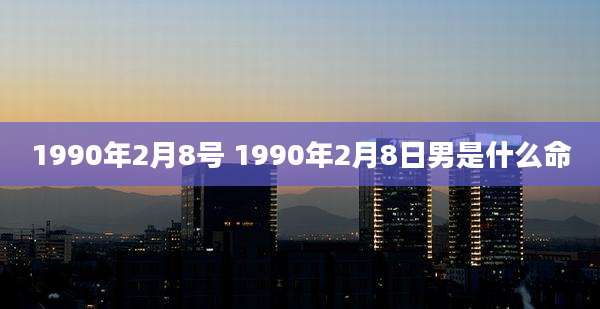 1990年2月8号 1990年2月8日男是什么命