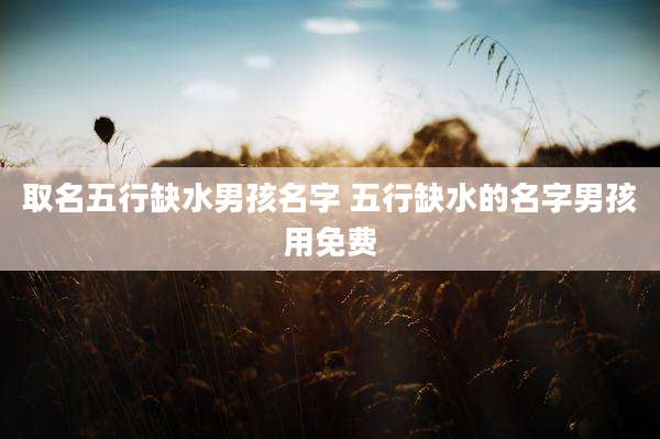 取名五行缺水男孩名字 五行缺水的名字男孩用免费
