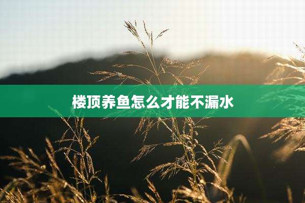 楼顶养鱼怎么才能不漏水