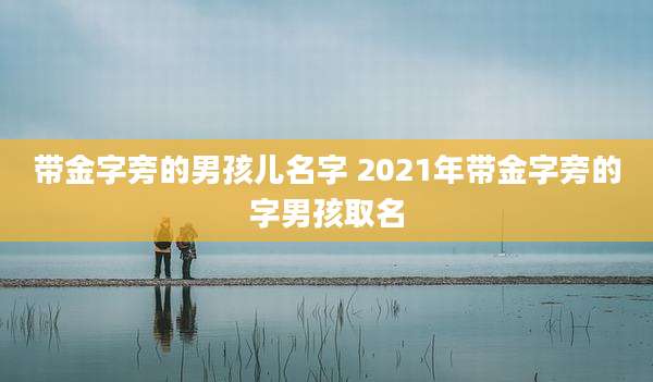 带金字旁的男孩儿名字 2021年带金字旁的字男孩取名