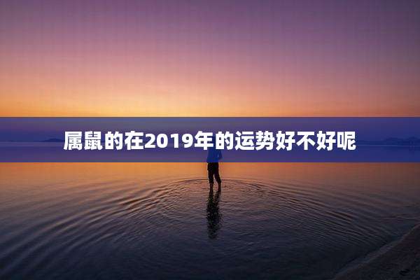属鼠的在2019年的运势好不好呢