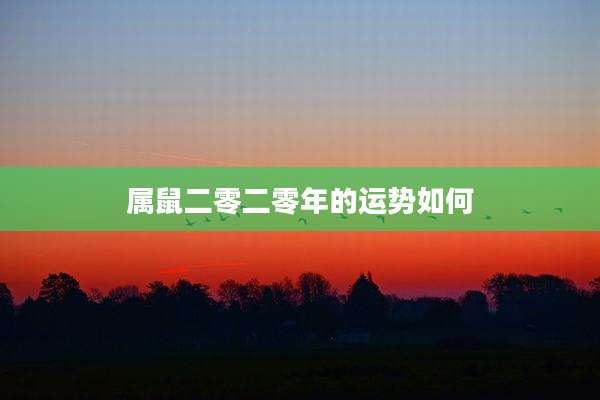 属鼠二零二零年的运势如何