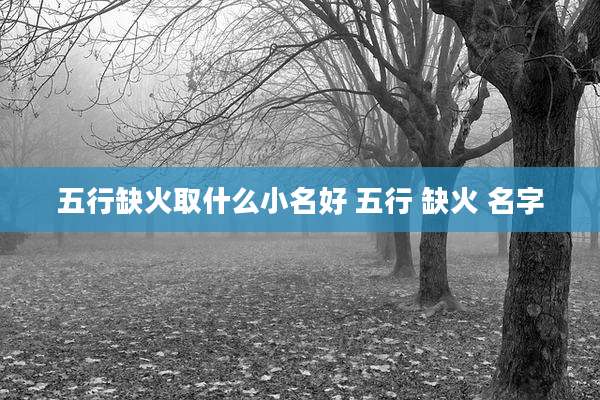 五行缺火取什么小名好 五行 缺火 名字