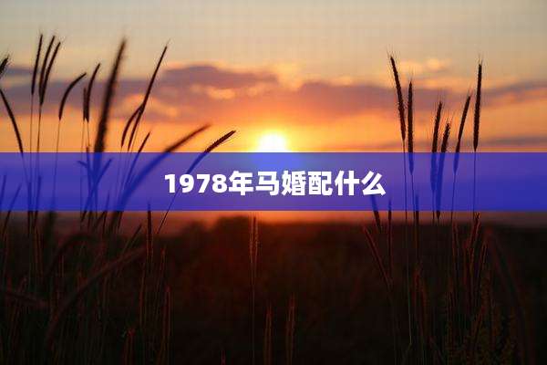 1978年马婚配什么