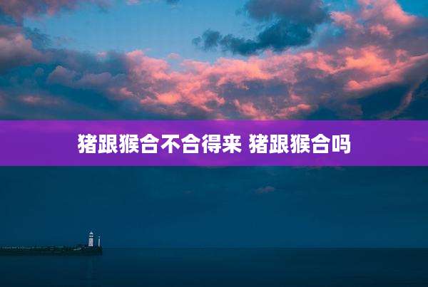 猪跟猴合不合得来 猪跟猴合吗