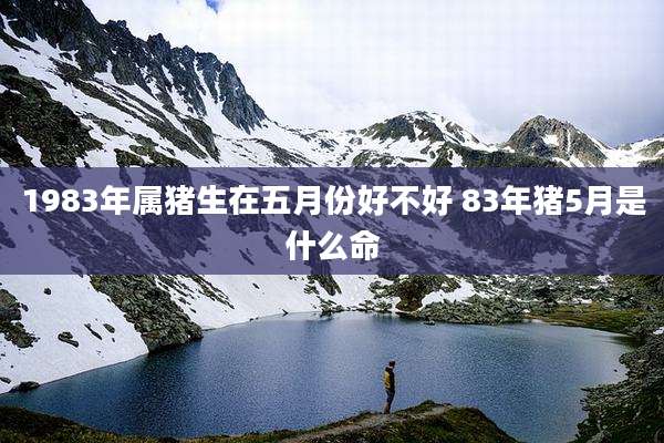 1983年属猪生在五月份好不好 83年猪5月是什么命