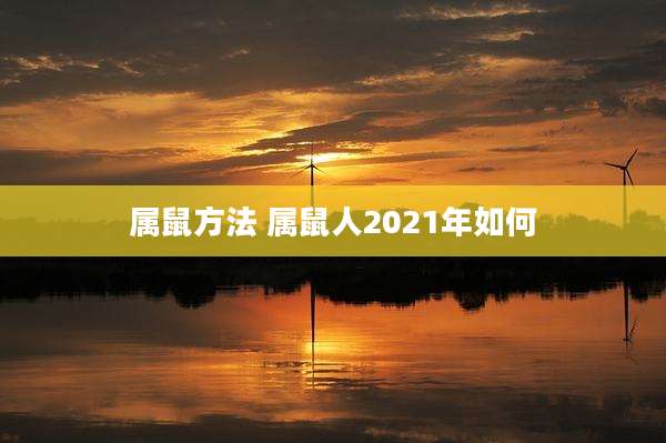 属鼠方法 属鼠人2021年如何