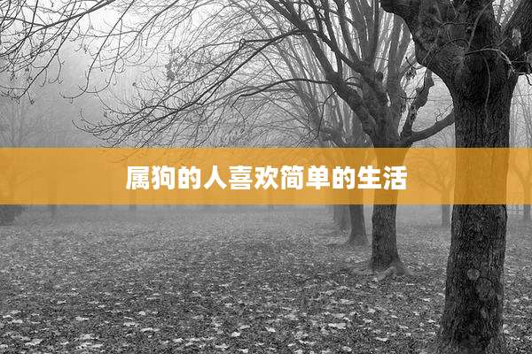 属狗的人喜欢简单的生活