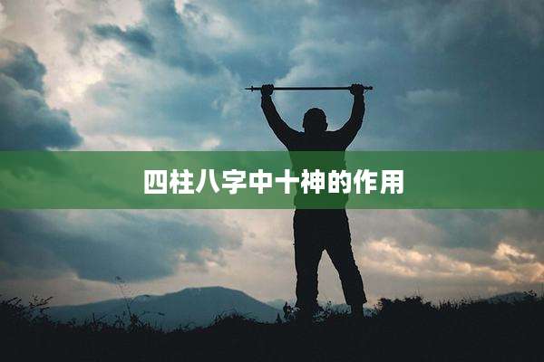四柱八字中十神的作用