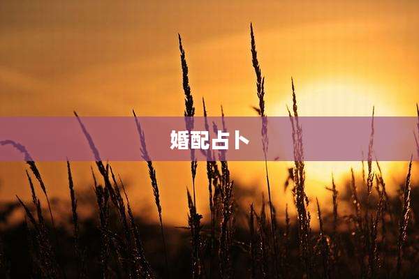 婚配占卜