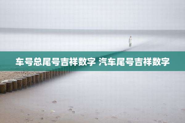 车号总尾号吉祥数字 汽车尾号吉祥数字