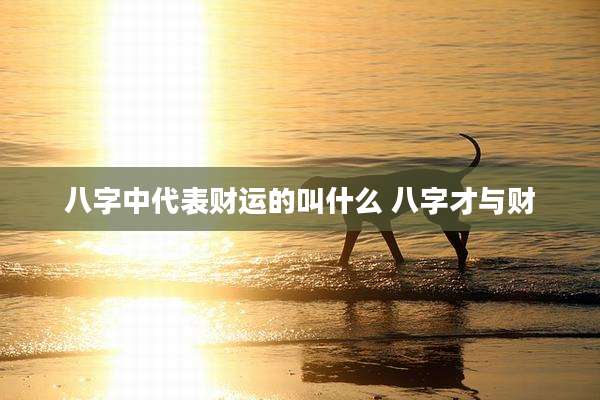 八字中代表财运的叫什么 八字才与财