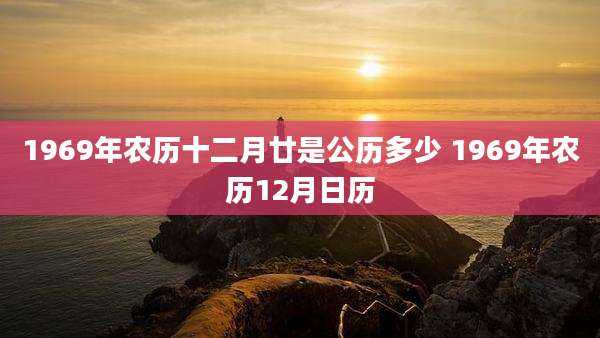 1969年农历十二月廿是公历多少 1969年农历12月日历